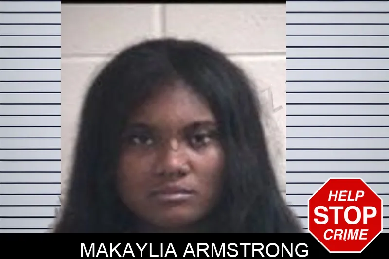 Makaylia Armstrong mugshot – Henry County , Georgia Makaylia Armstrong mugshot