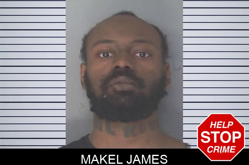 Makel James Mugshots