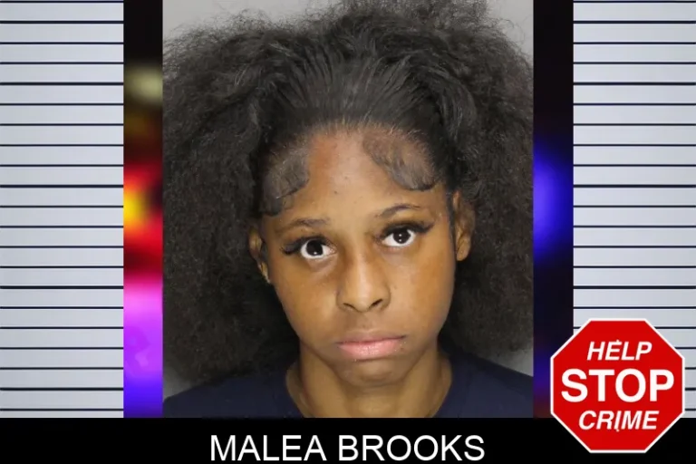 Malea Brooks mugshot – Cobb County , Georgia Malea Brooks