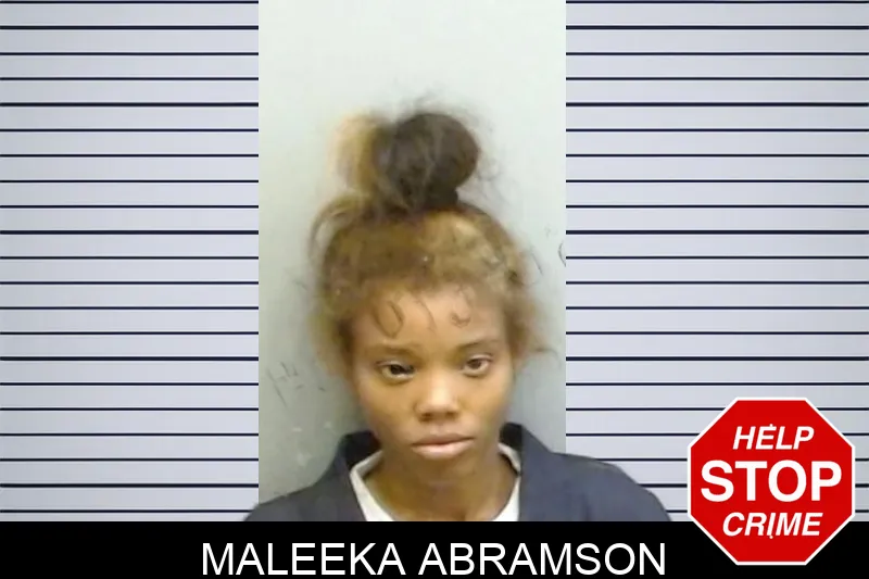 Maleeka Abramson Mugshots