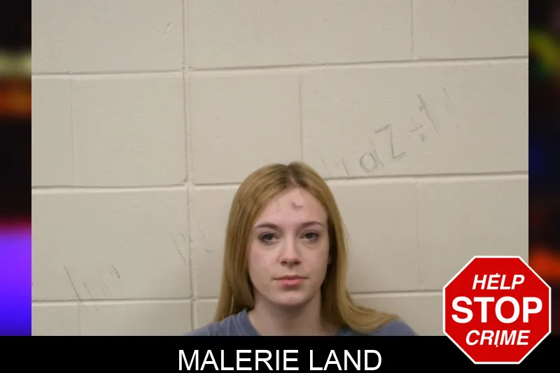 Malerie Land
