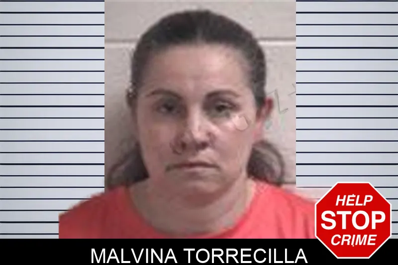Malvina Torrecilla mugshot – Henry County , Georgia Malvina Torrecilla mugshot