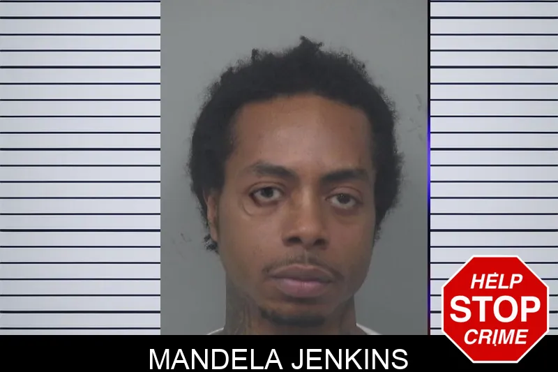 Mandela Jenkins mugshot