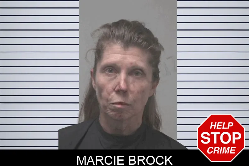 Marcie Brock Mugshots