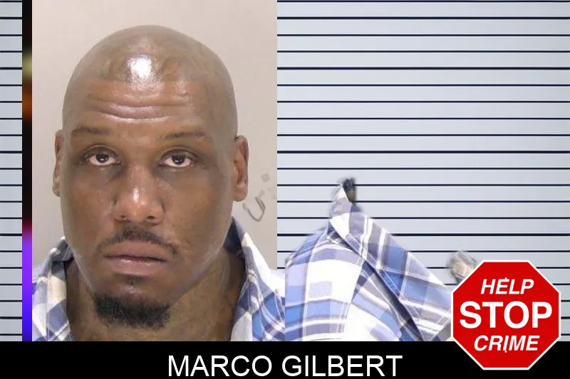 Marco Gilbert Mugshots