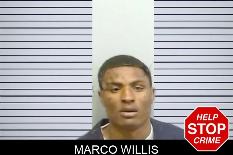 Marco Willis