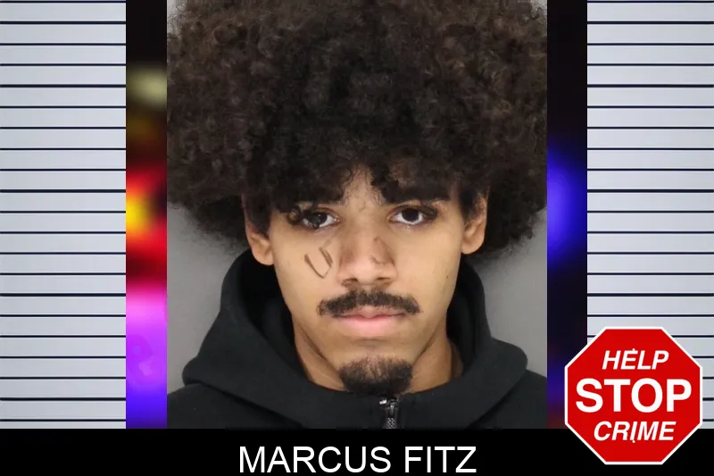 Marcus Fitz mugshot
