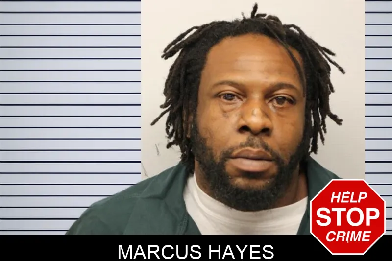 Marcus Hayes mugshot – Chatham County , Georgia Marcus Hayes mugshot