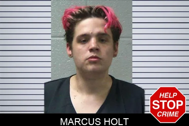 Marcus Holt mugshot – Gilmer County , Georgia Marcus Holt