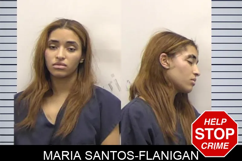 Maria Santos-Flanigan