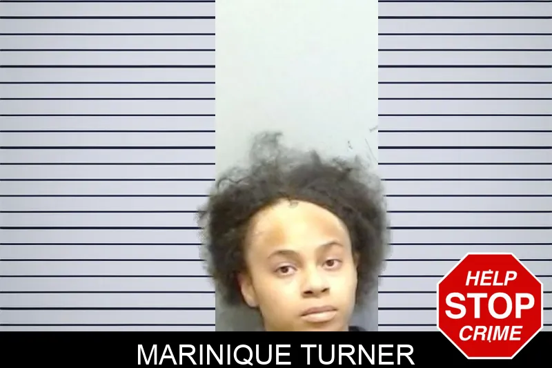 Marinique Turner mugshot – Fulton County , Georgia Marinique Turner mugshot