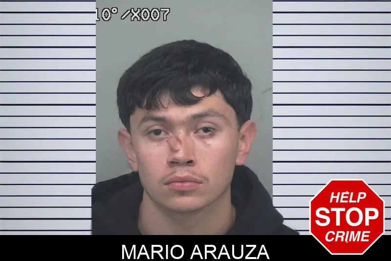 Mario Arauza mugshot – Gwinnett County , Georgia Mario Arauza mugshot