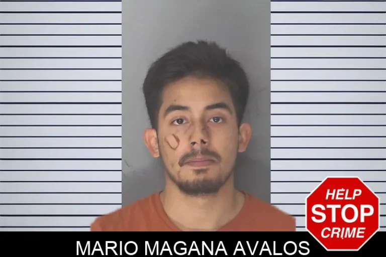 Mario Magana Avalos