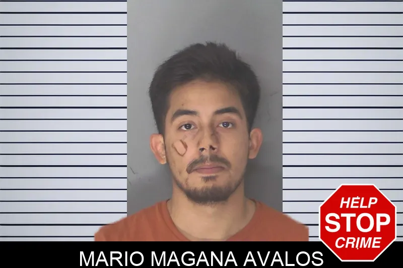 Mario Magana Avalos