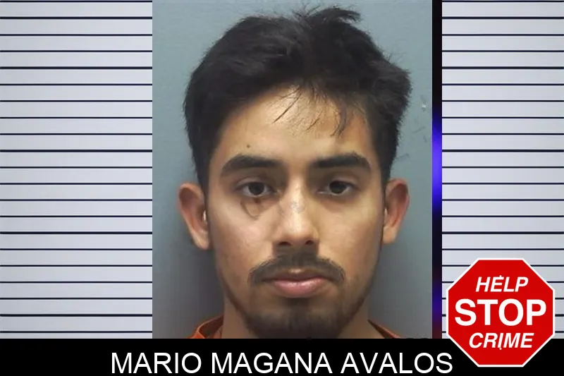 Mario Magana Avalos