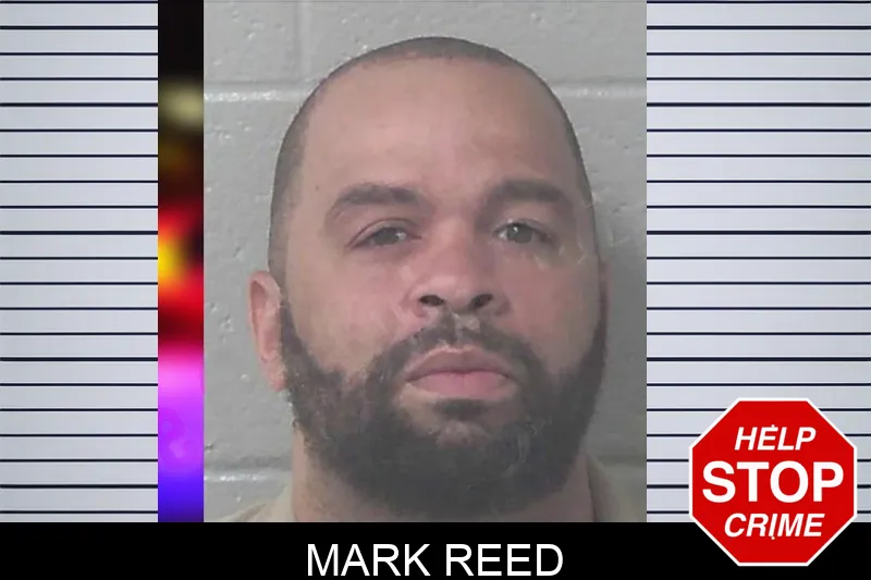 Mark Reed