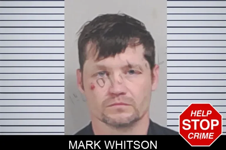 Mark Whitson mugshot – Lowndes County , Georgia Mark Whitson