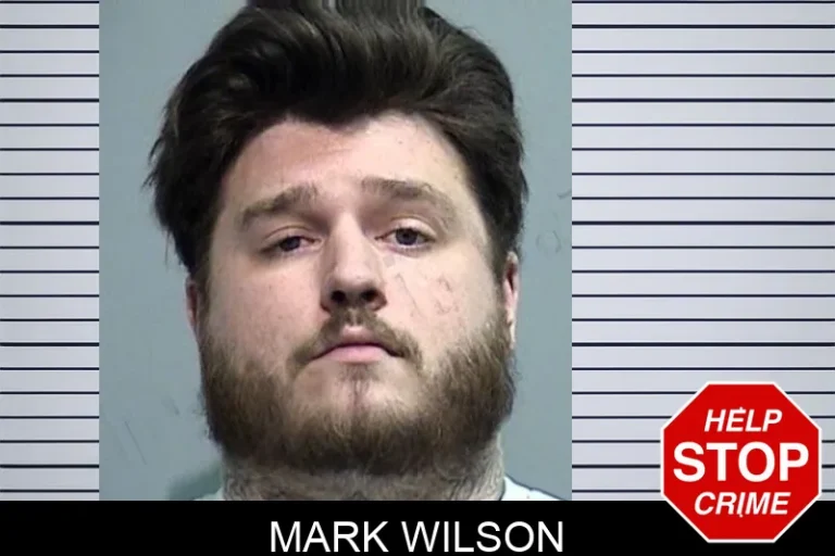 Mark Wilson mugshot – Effingham County , Georgia Mark Wilson