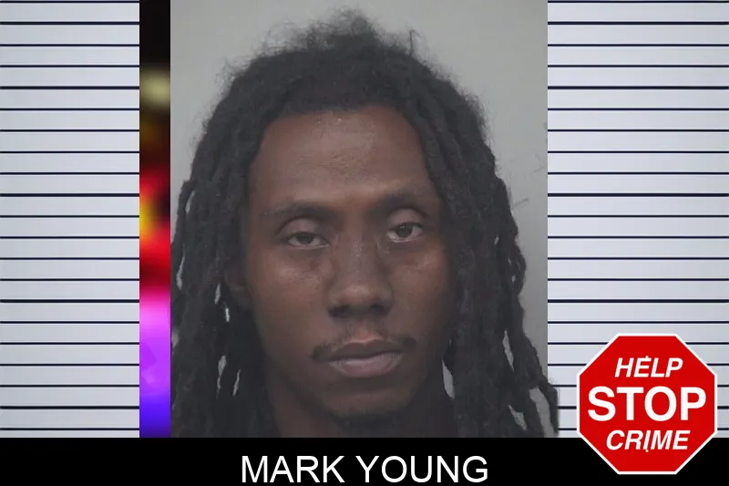 Mark Young mugshot – Gwinnett County , Georgia Mark Young mugshot