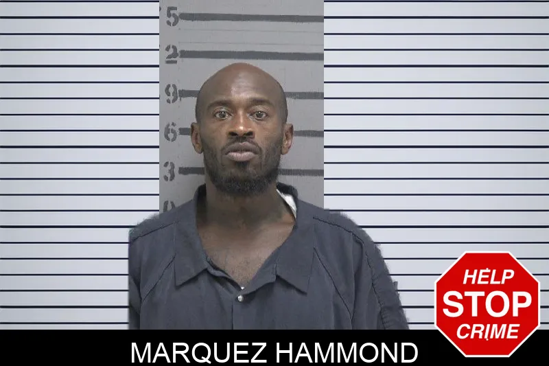 Marquez Hammond