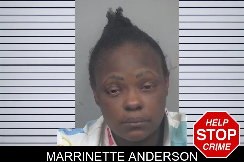 Marrinette Anderson mugshot – Gwinnett County , Georgia Marrinette Anderson mugshot