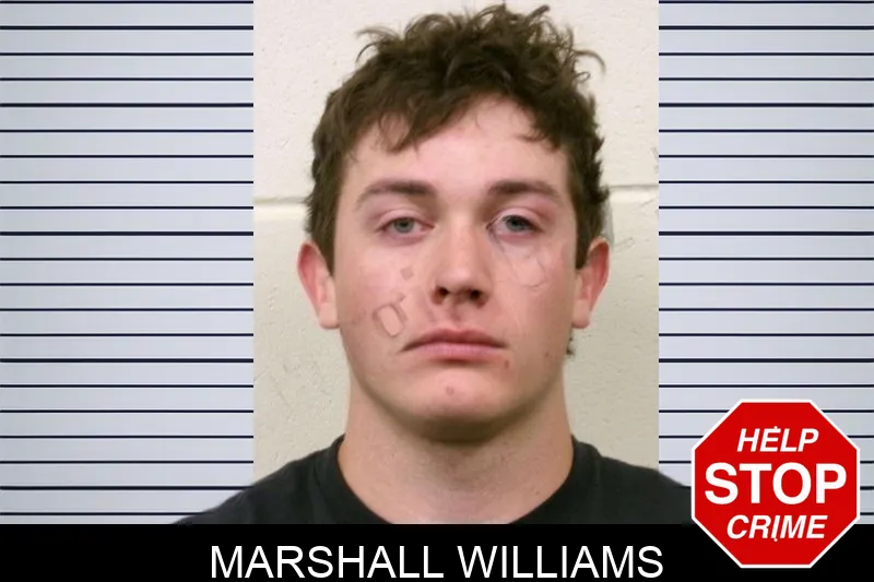 Marshall Williams Mugshots