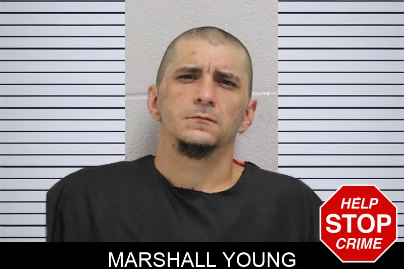 Marshall Young Mugshots