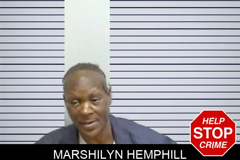 Marshilyn Hemphill mugshot – Fulton County , Georgia Marshilyn Hemphill mugshot
