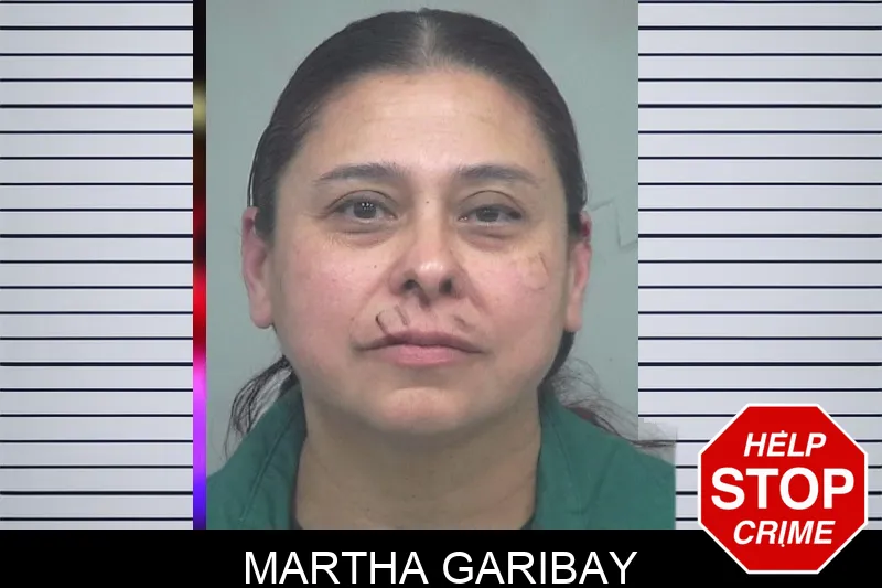 Martha Garibay Mugshots