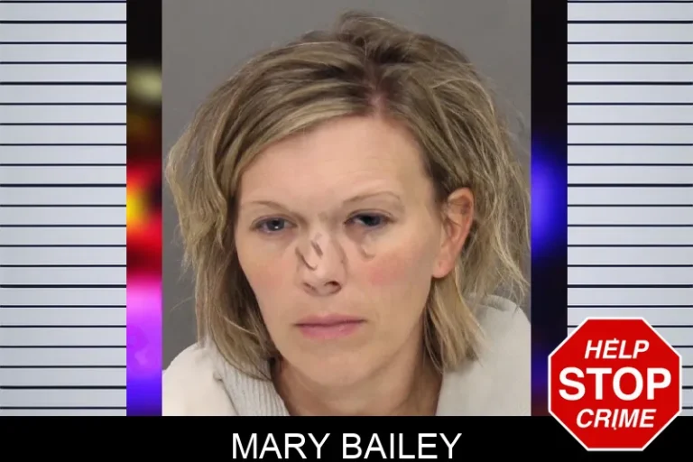 Mary Bailey mugshot – Cobb County , Georgia Mary Bailey