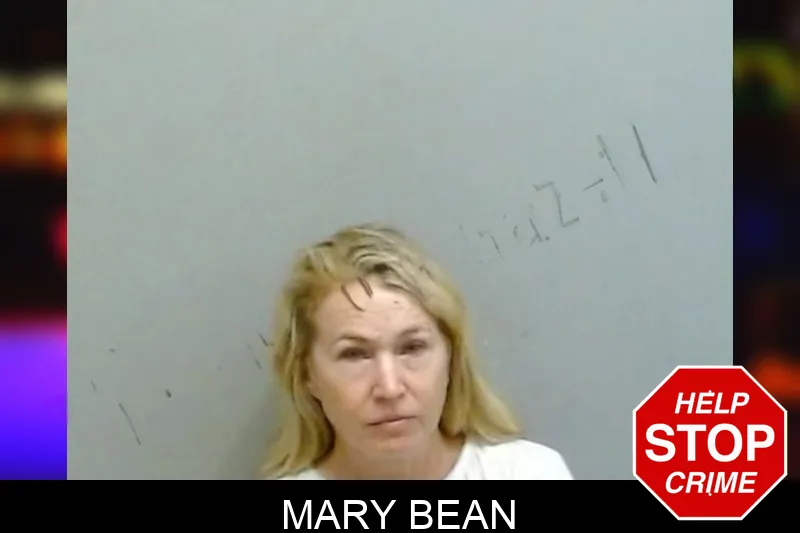 Mary Bean mugshot – Fulton County , Georgia Mary Bean mugshot