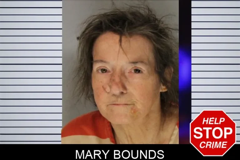 Mary Bounds mugshot – Hall County , Georgia Mary Bounds