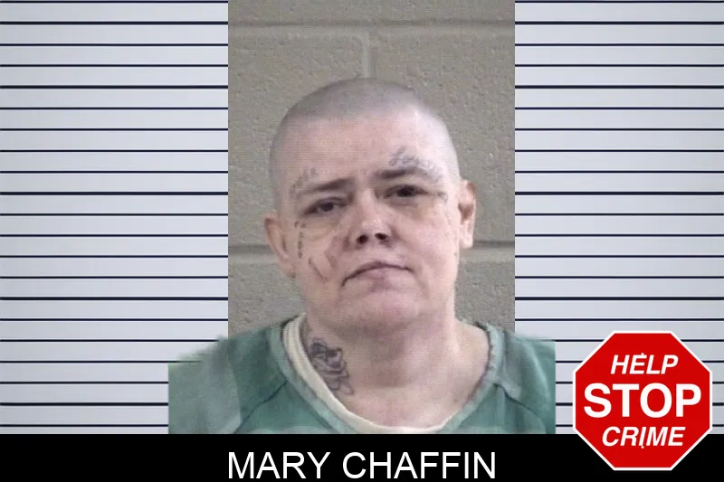 Mary Chaffin