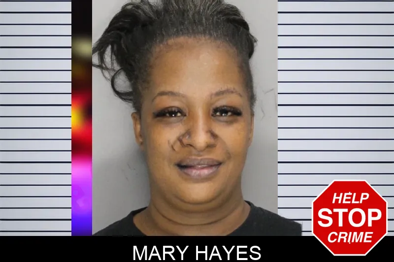 Mary Hayes mugshot – Cobb County , Georgia Mary Hayes mugshot