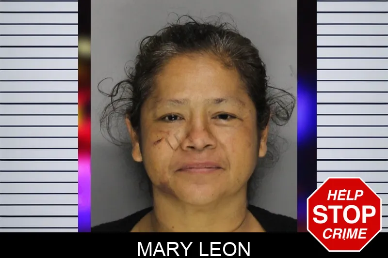 Mary Leon mugshot – Cobb County , Georgia Mary Leon mugshot