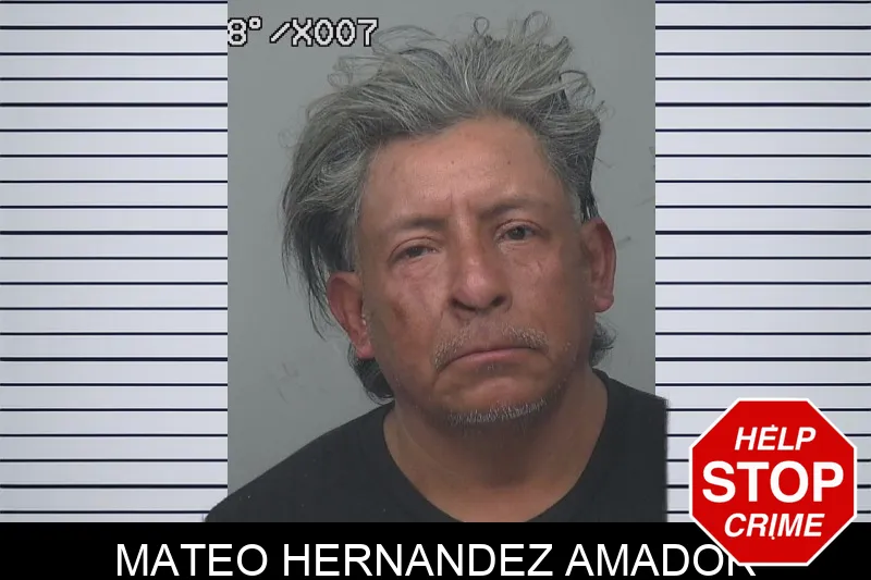 Mateo Hernandez Amador mugshot – Gwinnett County , Georgia Mateo Hernandez Amador mugshot