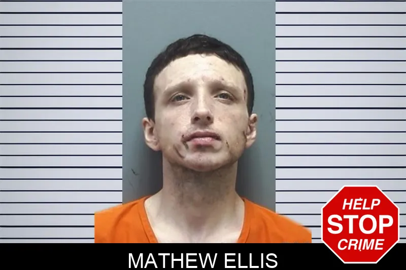 Mathew Ellis mugshot