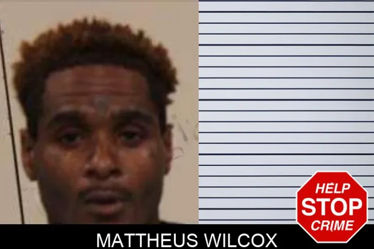 Mattheus Wilcox mugshot – Peach County , Georgia Mattheus Wilcox