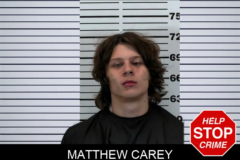 Matthew Carey