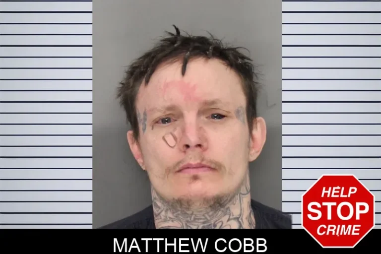 Matthew Cobb mugshot – Cobb County , Georgia Matthew Cobb