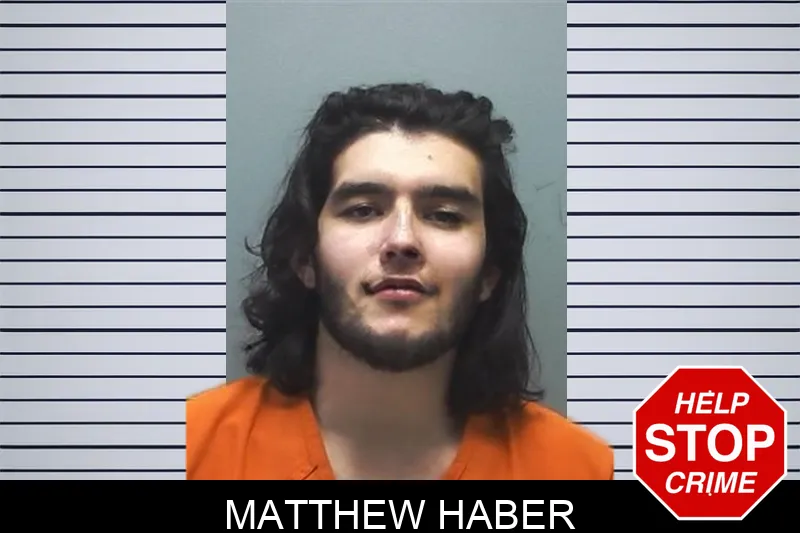 Matthew Haber mugshot