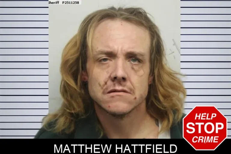 Matthew Hattfield mugshot – Chatham County , Georgia Matthew Hattfield