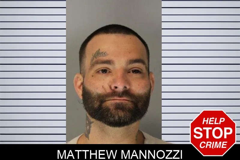 Matthew Mannozzi mugshot