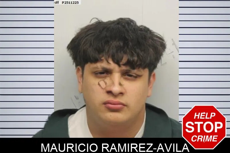 Mauricio Ramirez-Avila