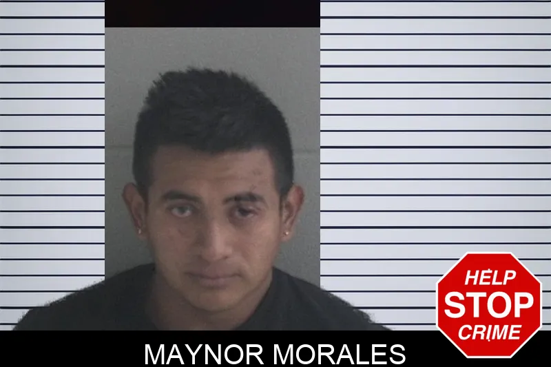 Maynor Morales Mugshots