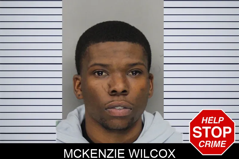 McKenzie Wilcox mugshot – Cobb County , Georgia McKenzie Wilcox mugshot