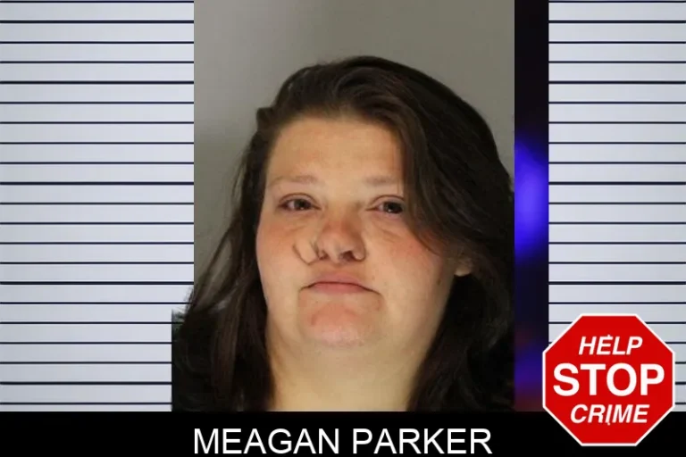 Meagan Parker mugshot – Hall County , Georgia Meagan Parker