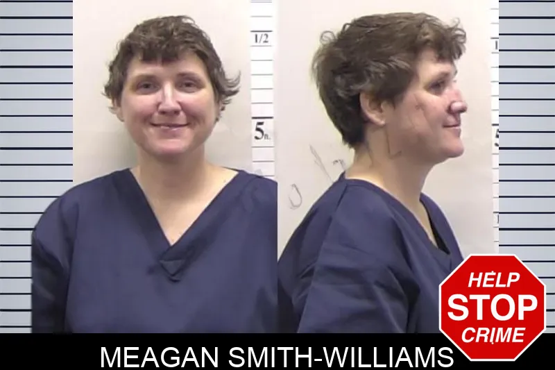 Meagan Smith-Williams Mugshots
