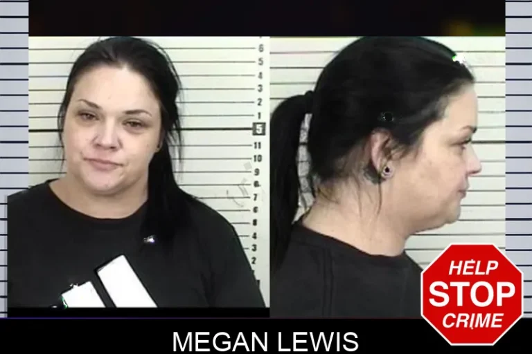 Megan Lewis mugshot – Camden County , Georgia Megan Lewis