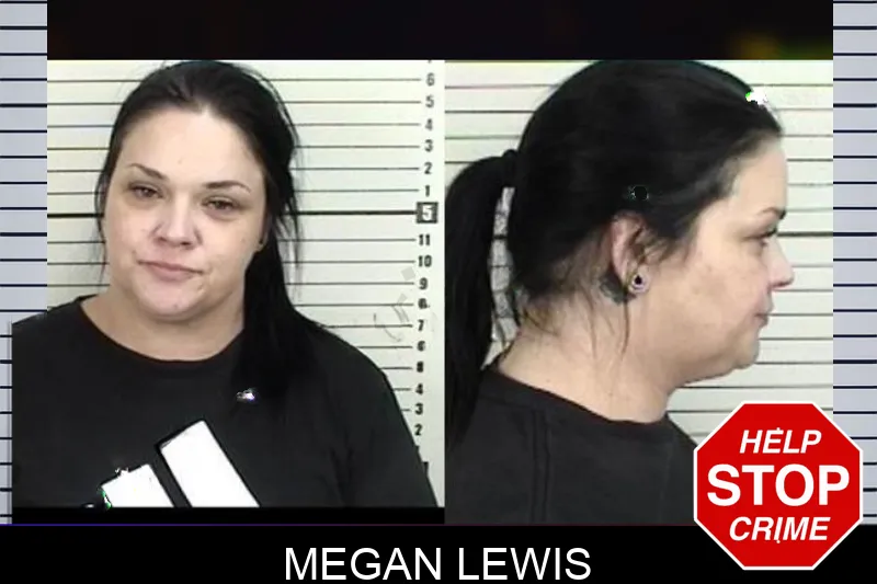 Megan Lewis mugshot